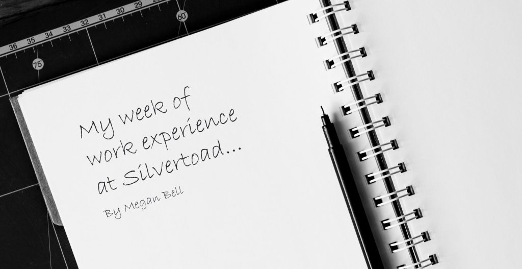 Work Experience | Silvertoad, Luton